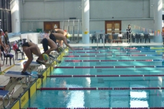 2010香港蹼泳錦標賽